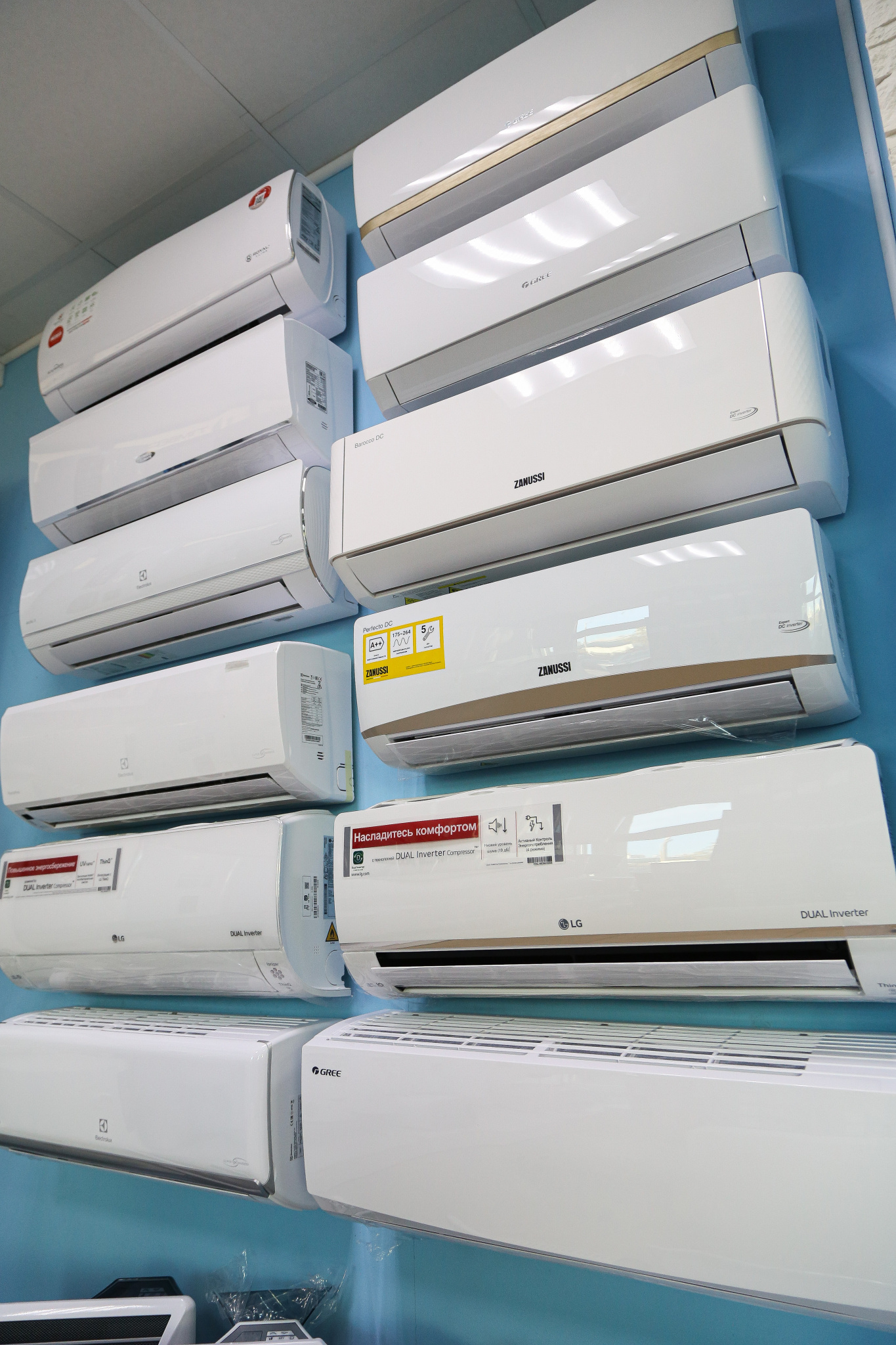 IMG_0077.jpg IMG_0077.jpg